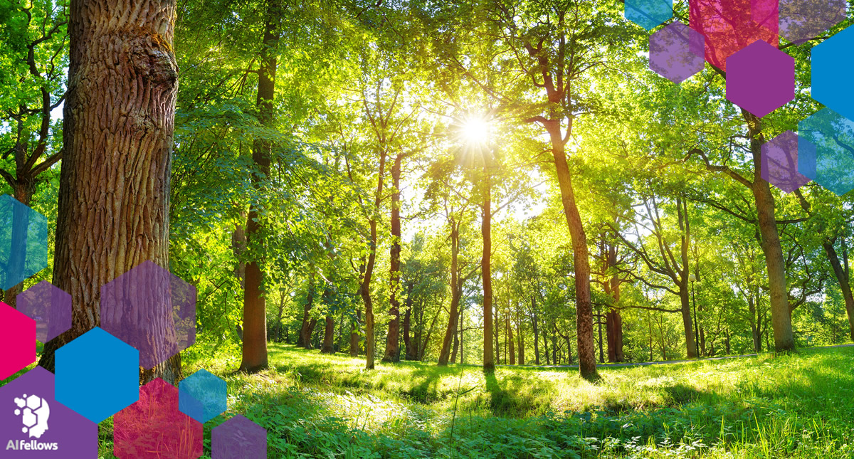 Nachhaltigkeit und Klimaschutz bei AI Fellows